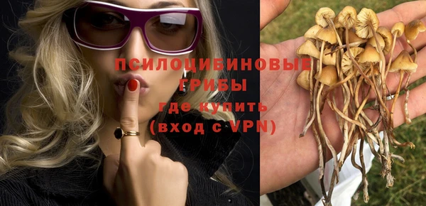 2c-b Балахна