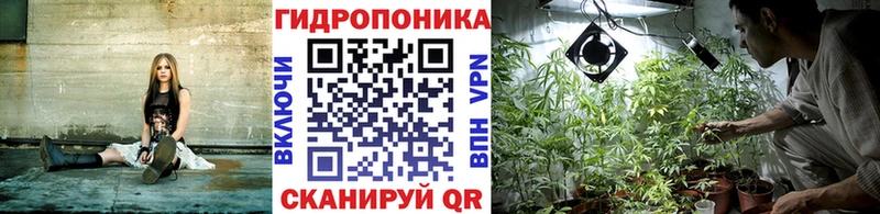 Бошки Шишки индика Удачный